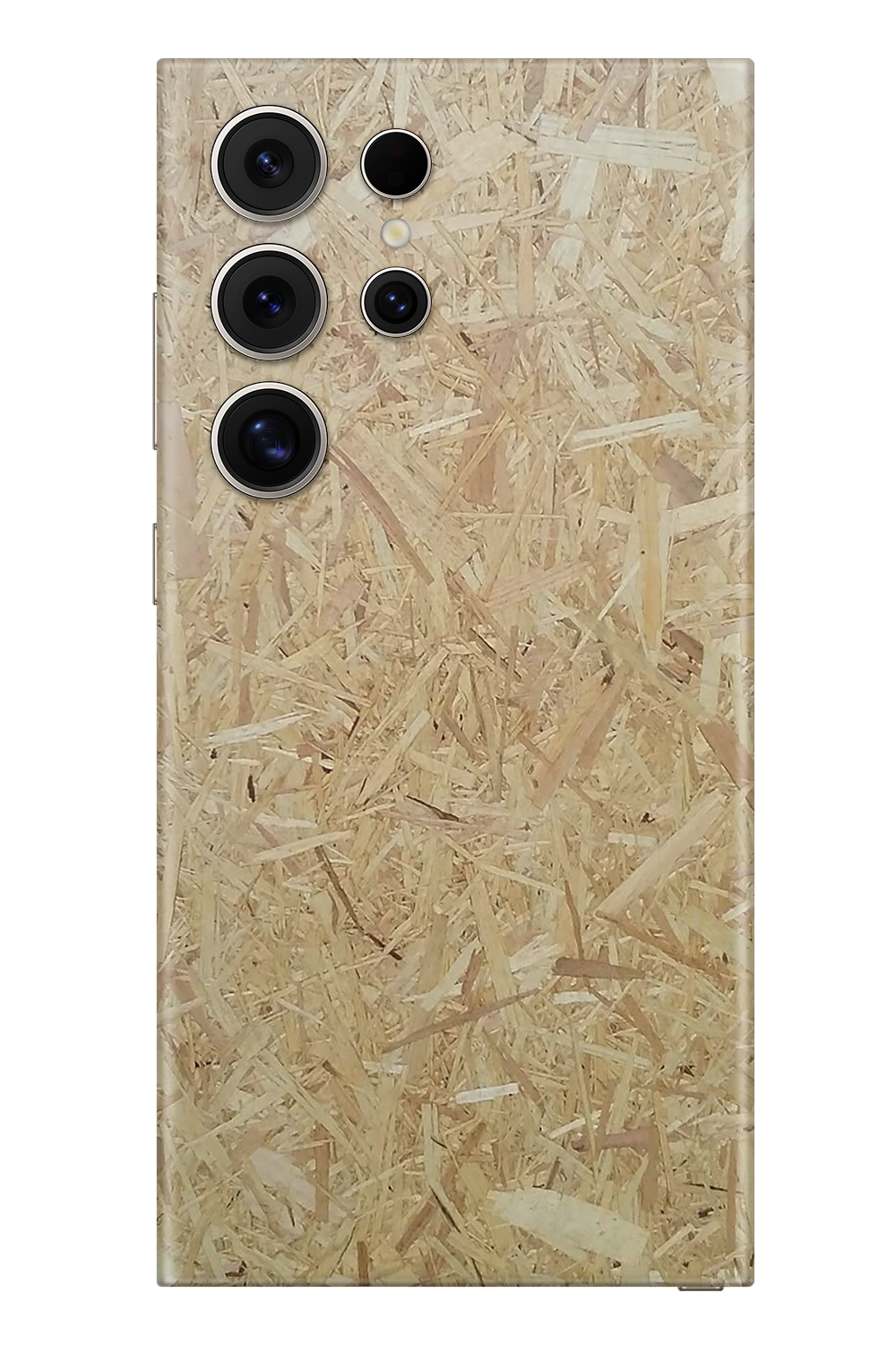 Skin Samsung - Vergine Maria
