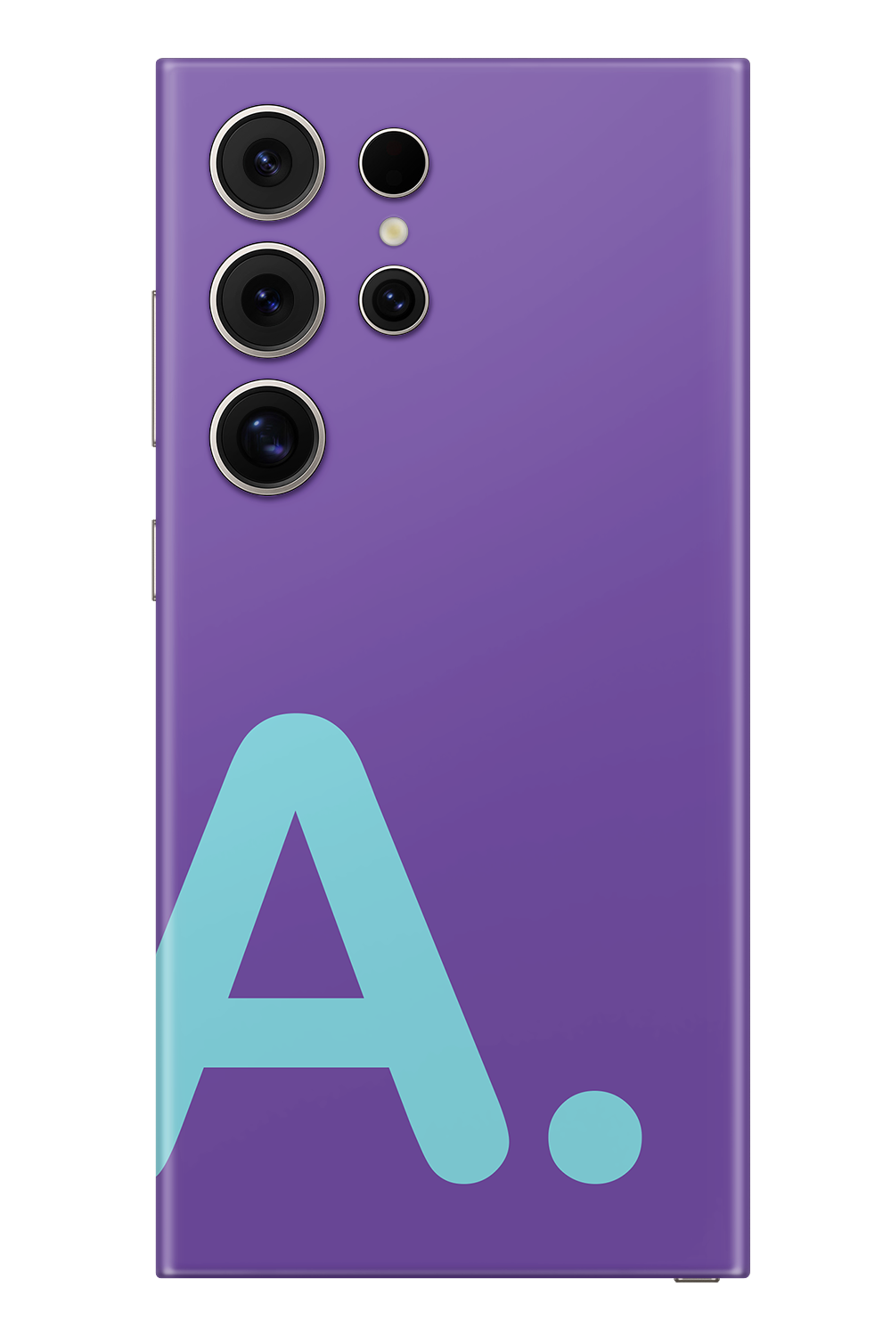 Skin Samsung - Vergine Maria