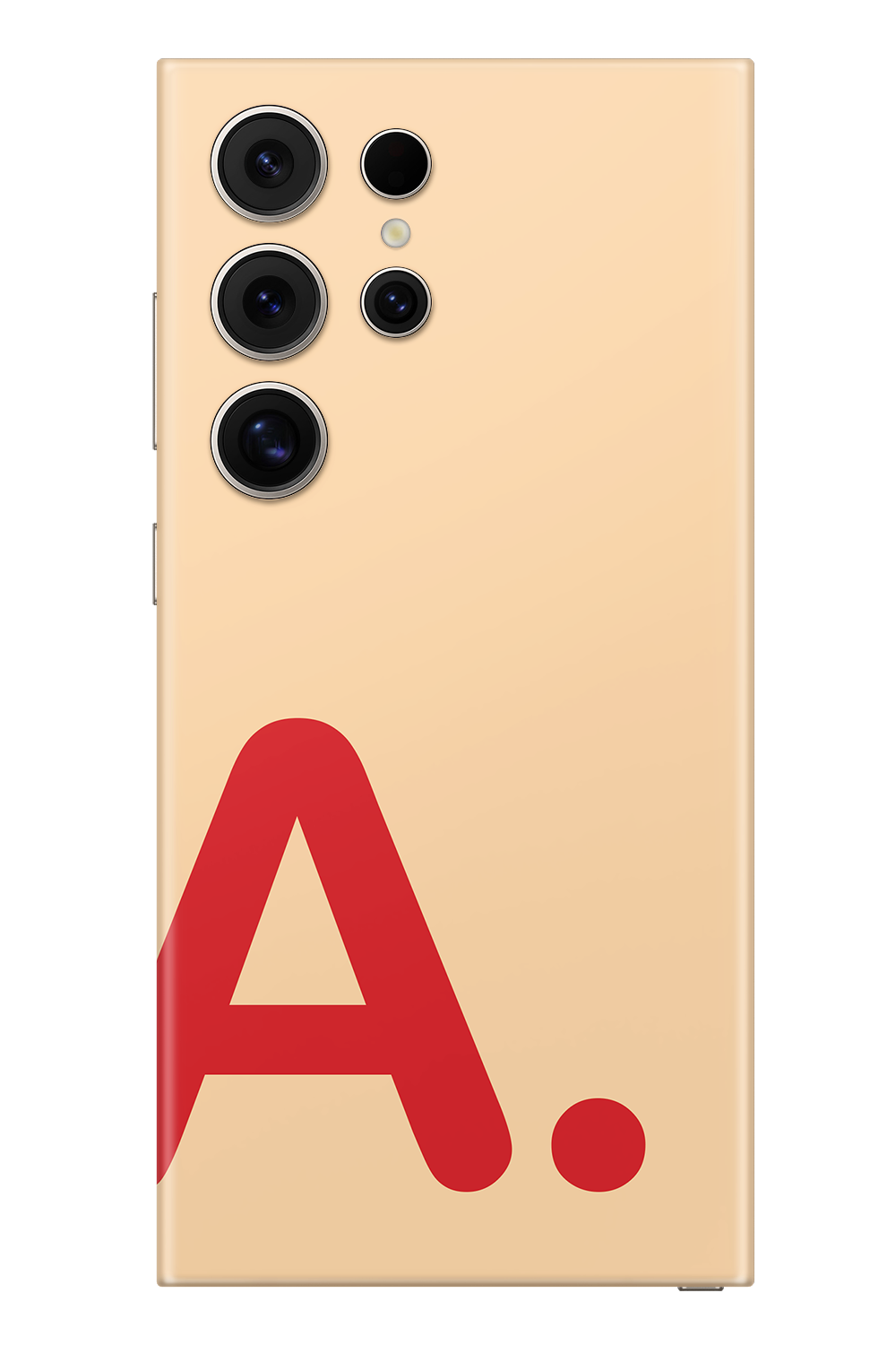 Skin Samsung - Vergine Maria
