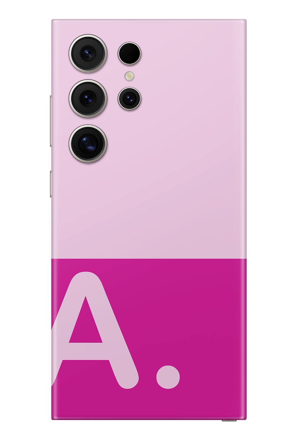 Skin Samsung - Vergine Maria