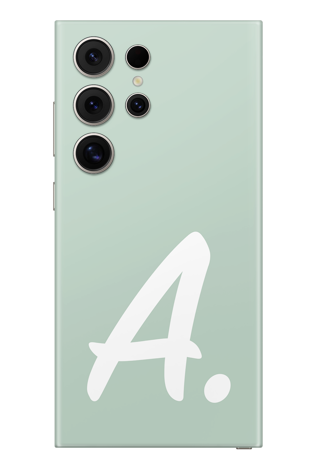 Skin Samsung - Vergine Maria