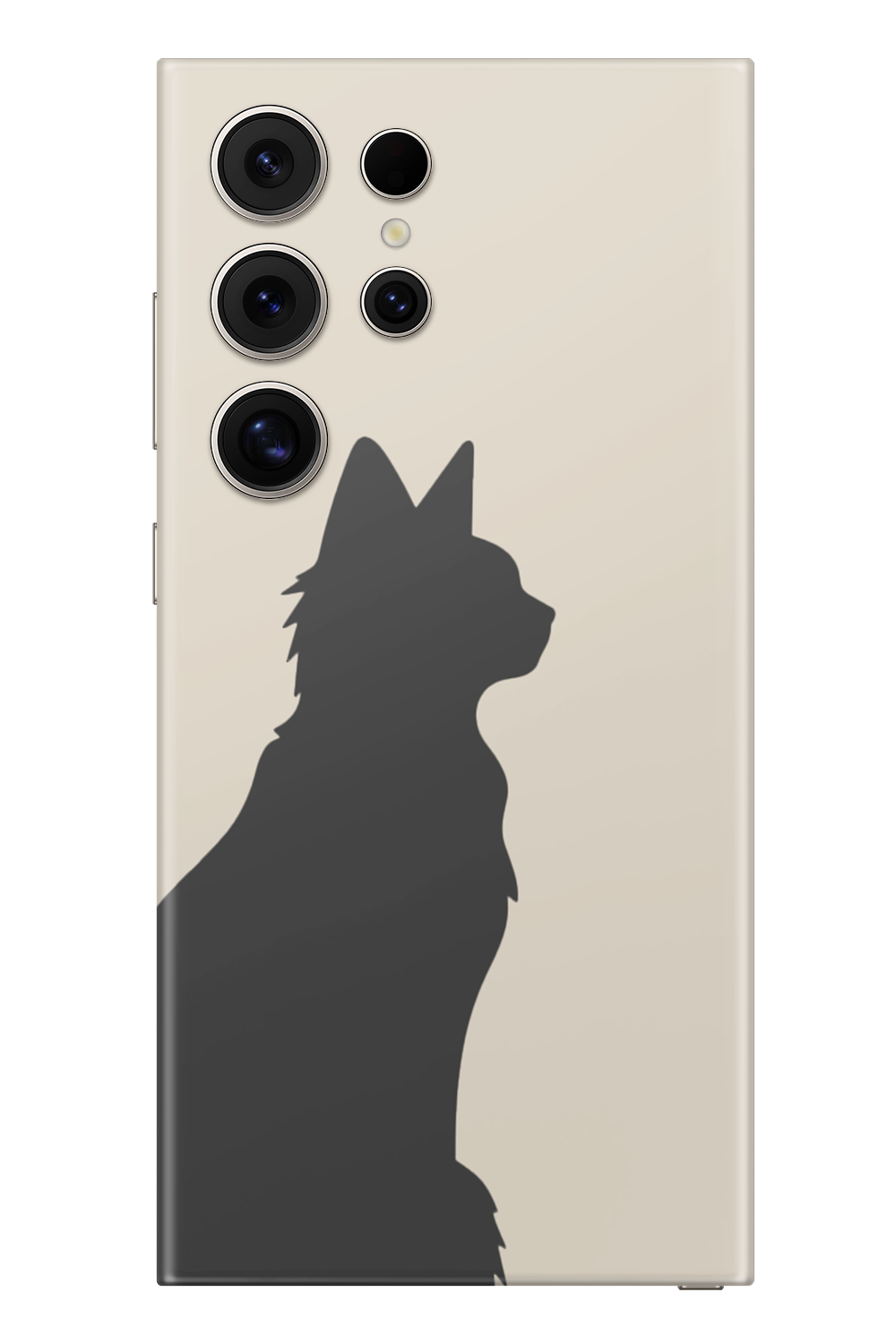 Skin Samsung - Vergine Maria