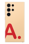 Skin Samsung - Vergine Maria