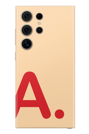 Skin Samsung - Vergine Maria
