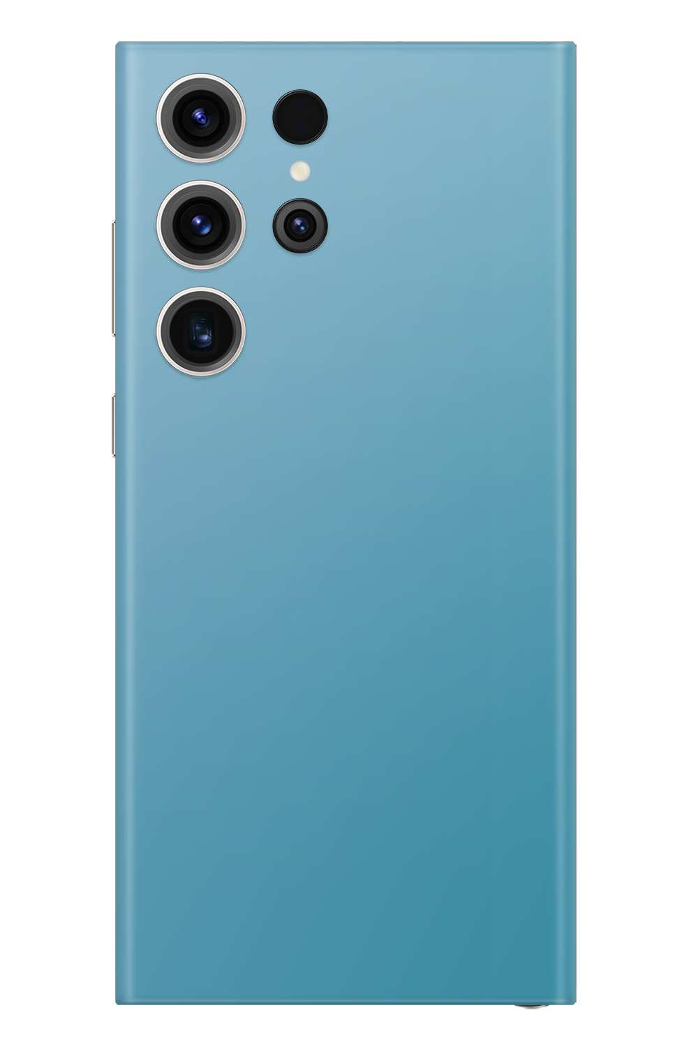 Skin Samsung - Vergine Maria