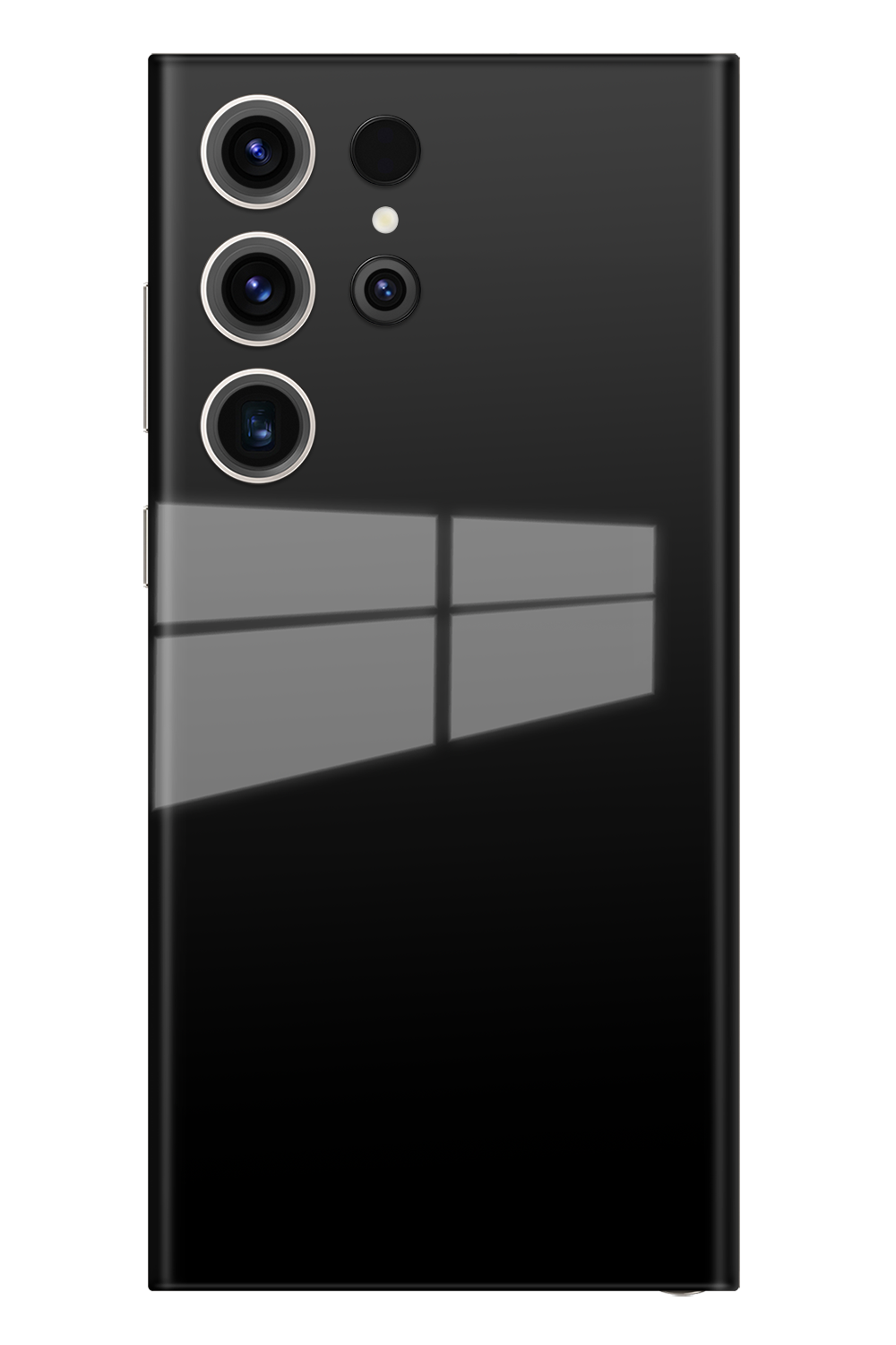 Skin Samsung - Vergine Maria